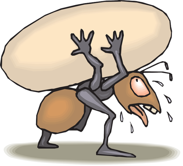 Ant Brown Carrying Egg White  - Clker-Free-Vector-Images / Pixabay
