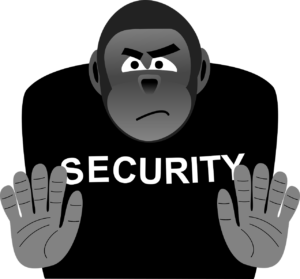 Security Bouncer Strong  - b1-foto / Pixabay
