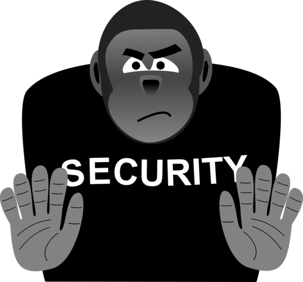 Security Bouncer Strong  - b1-foto / Pixabay